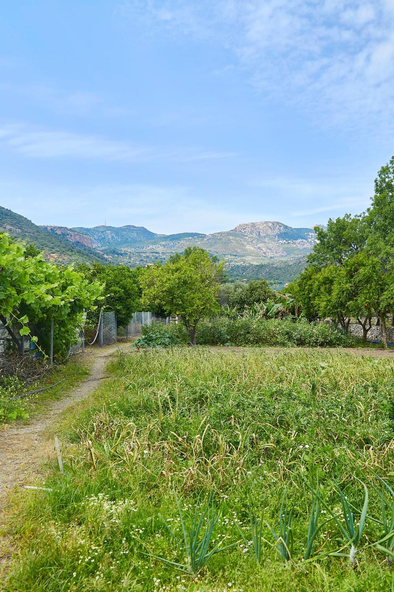 Melinda Pension & Restaurant Mesudiye  ภายนอก รูปภาพ